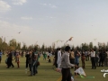 جشنواره پرواز بادبادکها در زاهدان / تصاویر