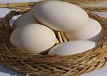 واسطه‌ها قیمت تخم مرغ را در بازار تعیین می کنند