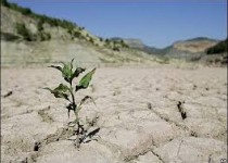 زنگ خطر خشکسالی در ۲۰ استان به صدا درآمد