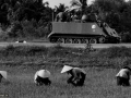 عبور سربازان ویتنامی از مزارع ویتنام جنوبی. سال 1973