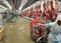 سیستان و بلوچستان دروازه واردات گوشت قرمز از کشور همسایه است