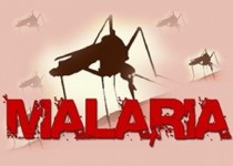 سیستان وبلوچستان و کهگیلویه و بویراحمد ناامن ترین استان ها از نظر غذایی/ شناسایی 58 مورد مبتلا به مالاریا در استان