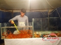 بازار داغ فروش ماهی در زاهدان+ تصاویر