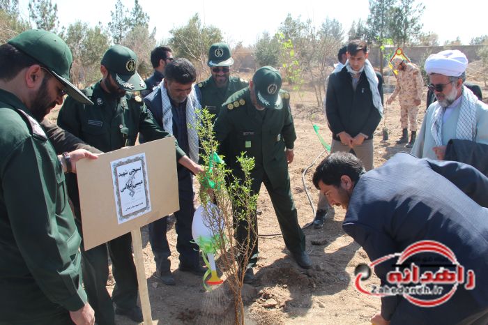 کاشت درخت دوستی و وحدت در سیستان وبلوچستان