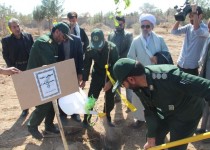 200 اصله درخت وحدت و دوستی در زاهدان کاشته شد