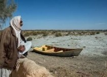 سیستان و بلوچستان بهشت جانوری ایران/ قاچاق جانوران و صید مهمترین معضلات انسانی و طبیعی محیط زیست