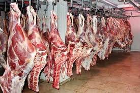 عرضه گوشت گرم گوساله با هدف تنظیم بازار در زاهدان