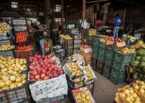 زنگ خطر حذف تدریجی میوه از سبد غذایی مردم / واسطه ها عامل اصلی افزایش قیمت ها در بازار میوه هستند