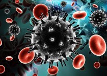 ۵ ویروسی که خطرناک‌تر از کرونا هستند