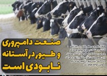 هشدار کمبود شیر و گوشت در سایه بحران سازی دولت/ صنعت دامپروری و طیور در آستانه نابودی است
