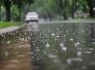 در شبانه روز گذشته از ۱۰۶‌ایستگاه هواشناسی و بارنسجی بارش باران گزارش شده است