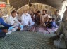 ۶۰۰ هزار خدمت به دامداران مناطق محروم سیستان و بلوچستان