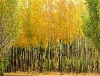 فصل پاییز