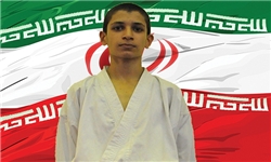 رضا عنایتی