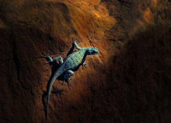 عکس ، عکس های نشنال جئوگرافیک