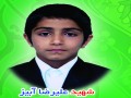شهید علیرضا آبیز