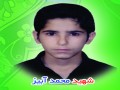 شهید محمد آبیز