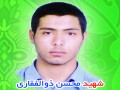 شهید محسن ذوالفغاری