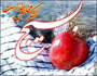 بسیج