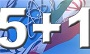 5+1
