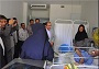 سالمند