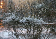 بارش برف در زاهدان