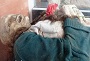 قبرستانی که اجساد را خودبه‌خود مومیایی می کند +عکس