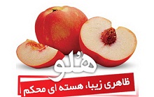 نرم افزار "هلو" دخل و خرج شما را مدیریت می کند + دانلود