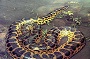 6 موجود جالب در جنگل های آمازون +عکس