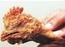 خبرسازترین موارد پیدا شده بین غذا +عکس