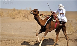 تیم شترسواری سیستان و بلوچستان مقام دوم کشور را کسب کرد