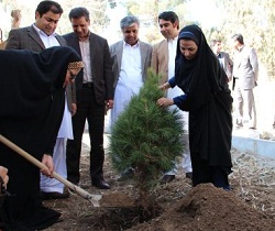 روز درختکاری در شهرستان زاهدان