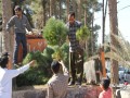 روز درختکاری در شهرستان زاهدان