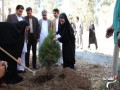 روز درختکاری در شهرستان زاهدان