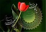 برگزاری پررنگ عزاداری‌های فاطمیه در سیستان و بلوچستان