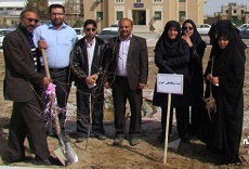 نهال یادبود شهید سلطانعلی آشوغ در  زاهدان غرس شد