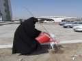 نهال یادبود شهید سلطانعلی آشوغ در  زاهدان غرس شد