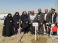 نهال یادبود شهید سلطانعلی آشوغ در  زاهدان غرس شد