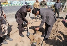 پارک موزه دفاع مقدس زاهدان درختکاری شد