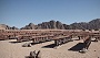 سینمایی در میان بیابان +عکس