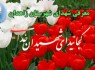 شهدای شهرستان زاهدان