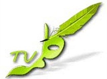 تلاش وهابیت برای تبلیغ یک شبکه ماهواره ای در گلستان