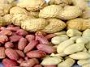 افزایش شیر مادر با ۴ گیاه دارویی