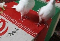 شهید جمشید دانایی فر