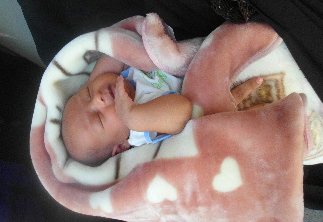 نوزاد شهید دانایی فر