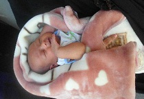 فرزند شهید دانایی فر