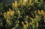 ببينم می تونی منو پيداکنی! +تصاویر