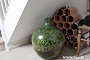 باغچه ای که 40 سال است آب نخورده +عکس