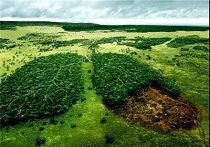 نمایشگاه نقاشی با موضوع زیست محیطی در زاهدان  برگزار می شود