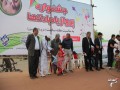 جشنواره پرواز بادبادکها در زاهدان